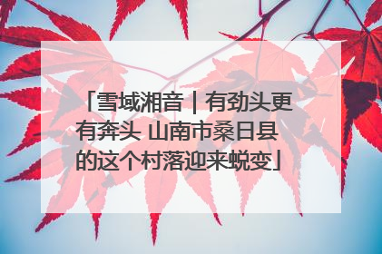 雪域湘音｜有劲头更有奔头 山南市桑日县的这个村落迎来蜕变