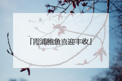 霞浦鲍鱼喜迎丰收