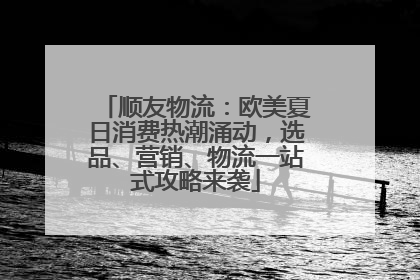 顺友物流：欧美夏日消费热潮涌动，选品、营销、物流一站式攻略来袭