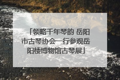 领略千年琴韵 岳阳市古琴协会一行参观岳阳楼博物馆古琴展