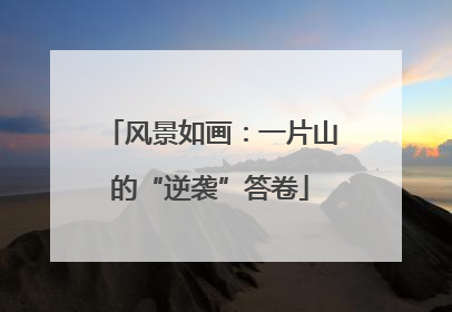 风景如画：一片山的“逆袭”答卷