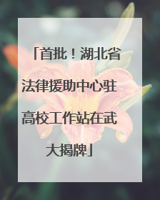 首批！湖北省法律援助中心驻高校工作站在武大揭牌