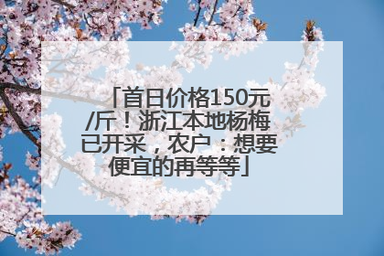 首日价格150元/斤！浙江本地杨梅已开采，农户：想要便宜的再等等
