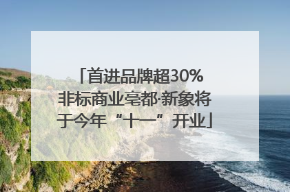首进品牌超30% 非标商业亳都·新象将于今年“十一”开业