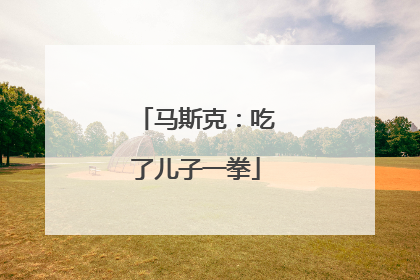 马斯克：吃了儿子一拳