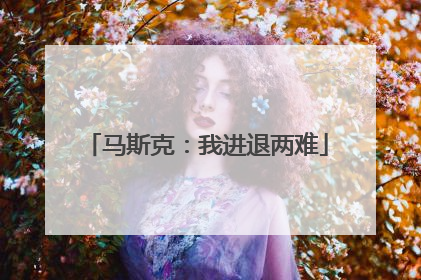 马斯克：我进退两难