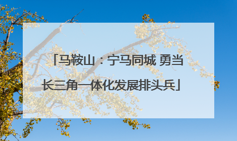 马鞍山：宁马同城 勇当长三角一体化发展排头兵