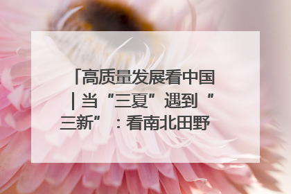 高质量发展看中国｜当“三夏”遇到“三新”：看南北田野里的科技共生记