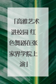 高雅艺术进校园 红色舞剧在张家界学院上演