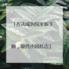 齐沃成为国米新主帅，取代小因扎吉