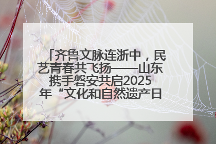 齐鲁文脉连浙中，民艺青春共飞扬——山东携手磐安共启2025年“文化和自然遗产日”系列活动