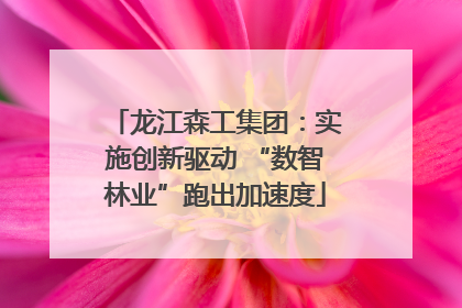 龙江森工集团：实施创新驱动 “数智林业”跑出加速度