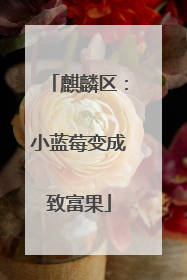 麒麟区：小蓝莓变成致富果