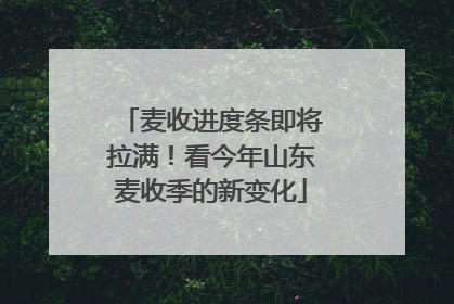 麦收进度条即将拉满！看今年山东麦收季的新变化