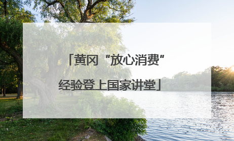 黄冈“放心消费”经验登上国家讲堂