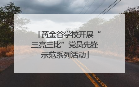 黄金谷学校开展“三亮三比”党员先锋示范系列活动