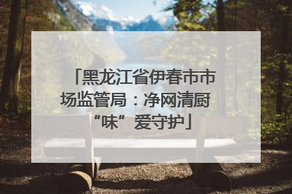 黑龙江省伊春市市场监管局：净网清厨 “味”爱守护