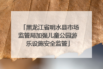 黑龙江省明水县市场监管局加强儿童公园游乐设施安全监管