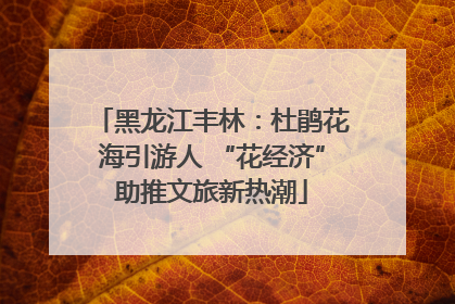 黑龙江丰林：杜鹃花海引游人 “花经济”助推文旅新热潮