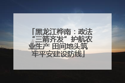黑龙江桦南：政法“三箭齐发”护航农业生产 田间地头筑牢平安建设防线