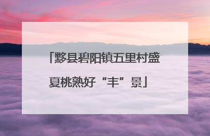 黟县碧阳镇五里村盛夏桃熟好“丰”景