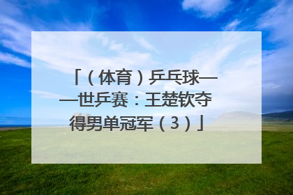 （体育）乒乓球——世乒赛：王楚钦夺得男单冠军（3）