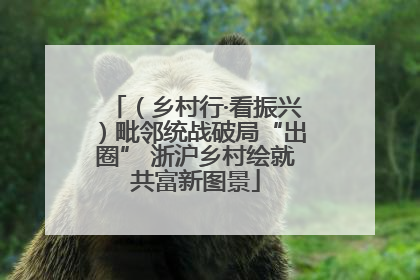 （乡村行·看振兴）毗邻统战破局“出圈” 浙沪乡村绘就共富新图景