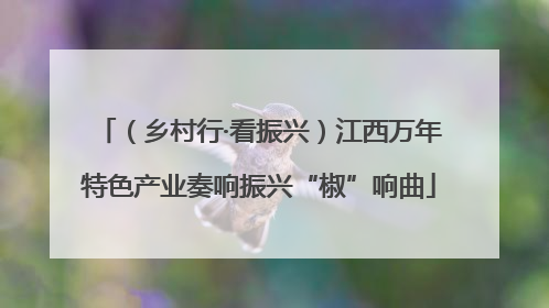 （乡村行·看振兴）江西万年特色产业奏响振兴“椒”响曲