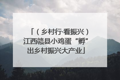 （乡村行·看振兴）江西赣县小鸡蛋“孵”出乡村振兴大产业