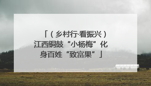 （乡村行·看振兴）江西铜鼓“小杨梅”化身百姓“致富果”