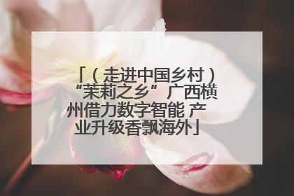 （走进中国乡村）“茉莉之乡”广西横州借力数字智能 产业升级香飘海外