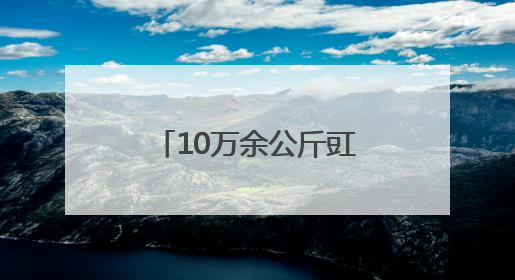 10万余公斤豇豆货款一分没少