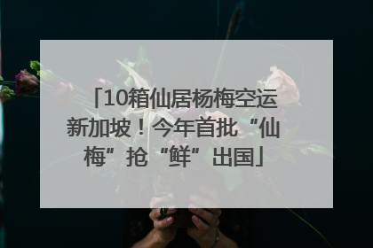 10箱仙居杨梅空运新加坡！今年首批“仙梅”抢“鲜”出国