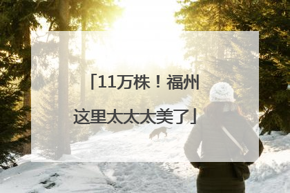11万株！福州这里太太太美了