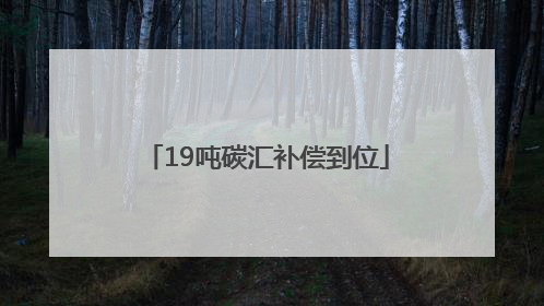 19吨碳汇补偿到位