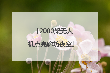 2000架无人机点亮廊坊夜空