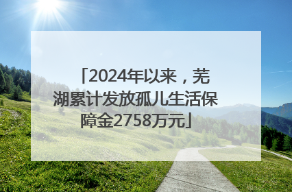 2024年以来，芜湖累计发放孤儿生活保障金2758万元