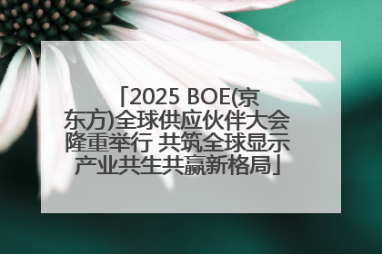 2025 BOE(京东方)全球供应伙伴大会隆重举行 共筑全球显示产业共生共赢新格局