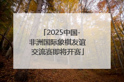 2025中国-非洲国际象棋友谊交流赛即将开赛