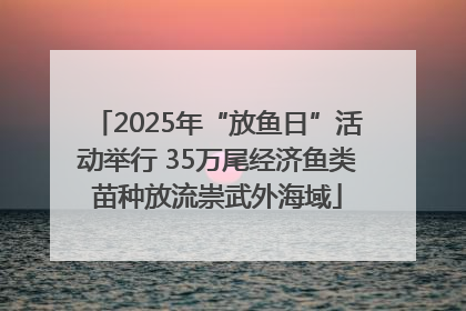 2025年“放鱼日”活动举行 35万尾经济鱼类苗种放流崇武外海域