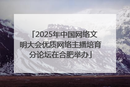 2025年中国网络文明大会优质网络主播培育分论坛在合肥举办