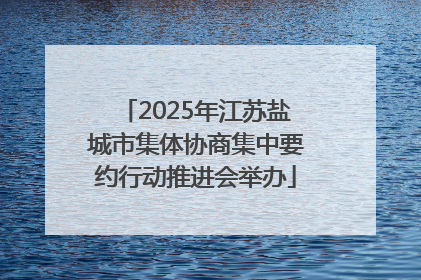 2025年江苏盐城市集体协商集中要约行动推进会举办