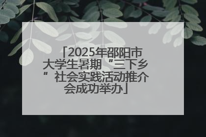 2025年邵阳市大学生暑期“三下乡”社会实践活动推介会成功举办