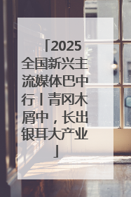 2025全国新兴主流媒体巴中行丨青冈木屑中，长出银耳大产业