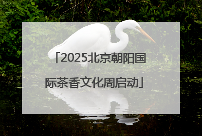 2025北京朝阳国际茶香文化周启动