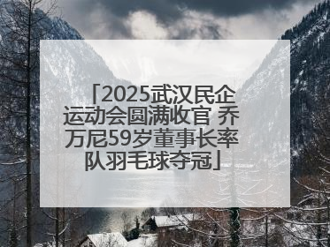 2025武汉民企运动会圆满收官 乔万尼59岁董事长率队羽毛球夺冠