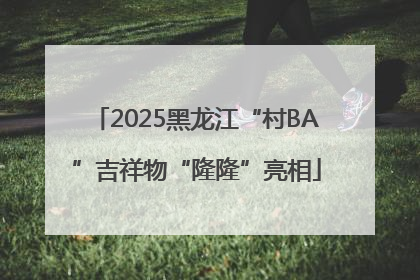 2025黑龙江“村BA”吉祥物“隆隆”亮相