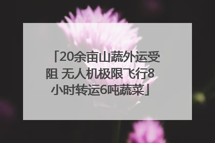 20余亩山蔬外运受阻 无人机极限飞行8小时转运6吨蔬菜