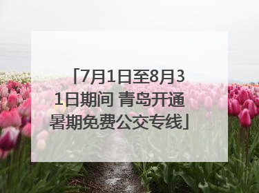 7月1日至8月31日期间 青岛开通暑期免费公交专线