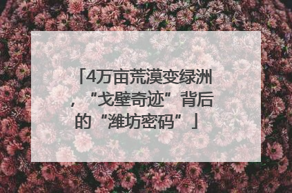 4万亩荒漠变绿洲，“戈壁奇迹”背后的“潍坊密码”